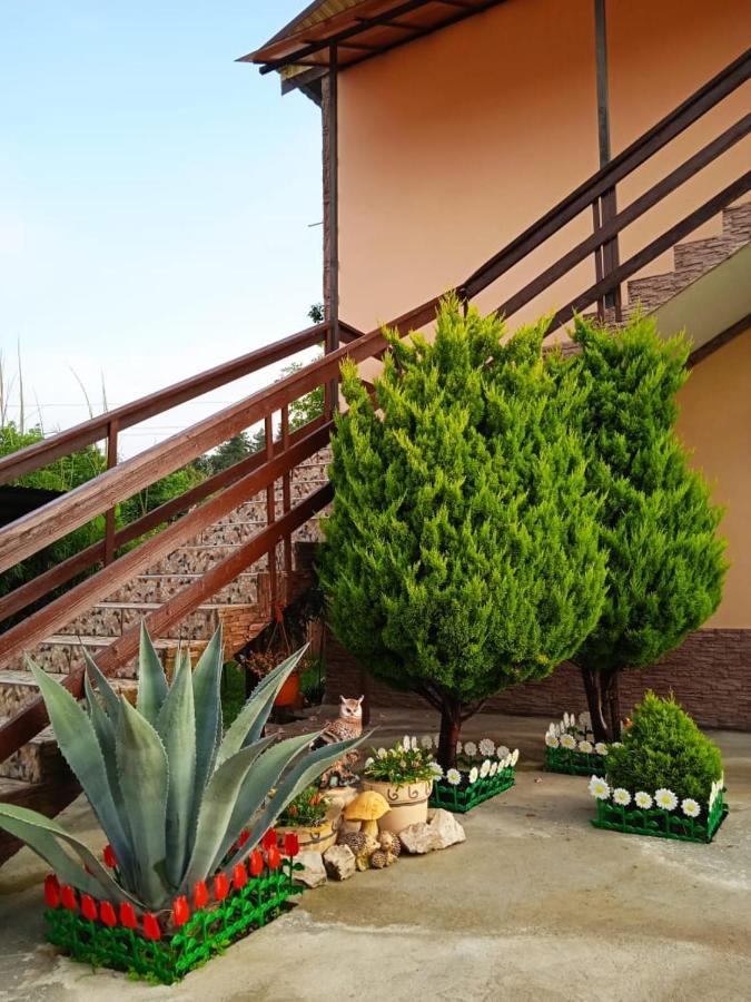 Изабелла Hotel Pitsoenda Buitenkant foto